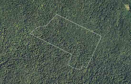 A forest surrounded by more forest will have substantially different plant and animal communities than one that is surrounded by agricultural land.